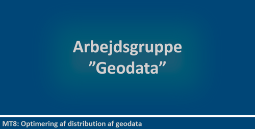 Arbejdsgruppe Geodata